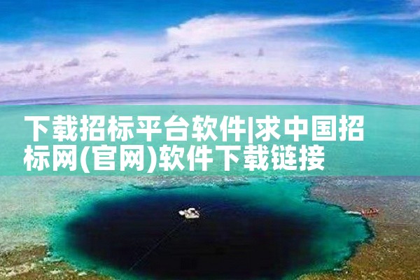 下载招标平台软件